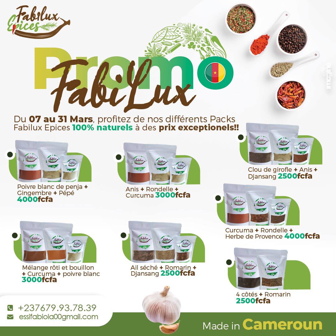 Visuel promotionnel des packs Fabilux Épices
