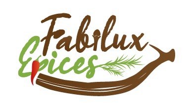Logo Fabilux Épices : version principale sur fond blanc